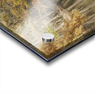 Where Autumn Whispers to the River Acrylic print