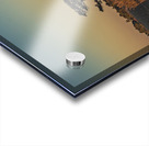 The Sentinel of Still Water Acrylic print