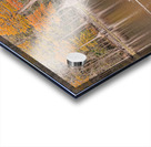  Autumn’s Gathering at the Waterline Acrylic print