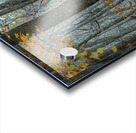 In the Quiet of Bare Branches Acrylic print