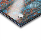 Scarlet Chorus in the Cold Light Acrylic print