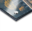 The Cypress Keepers Acrylic print