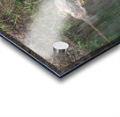 The Sunbathers’ Secret Isle Acrylic print