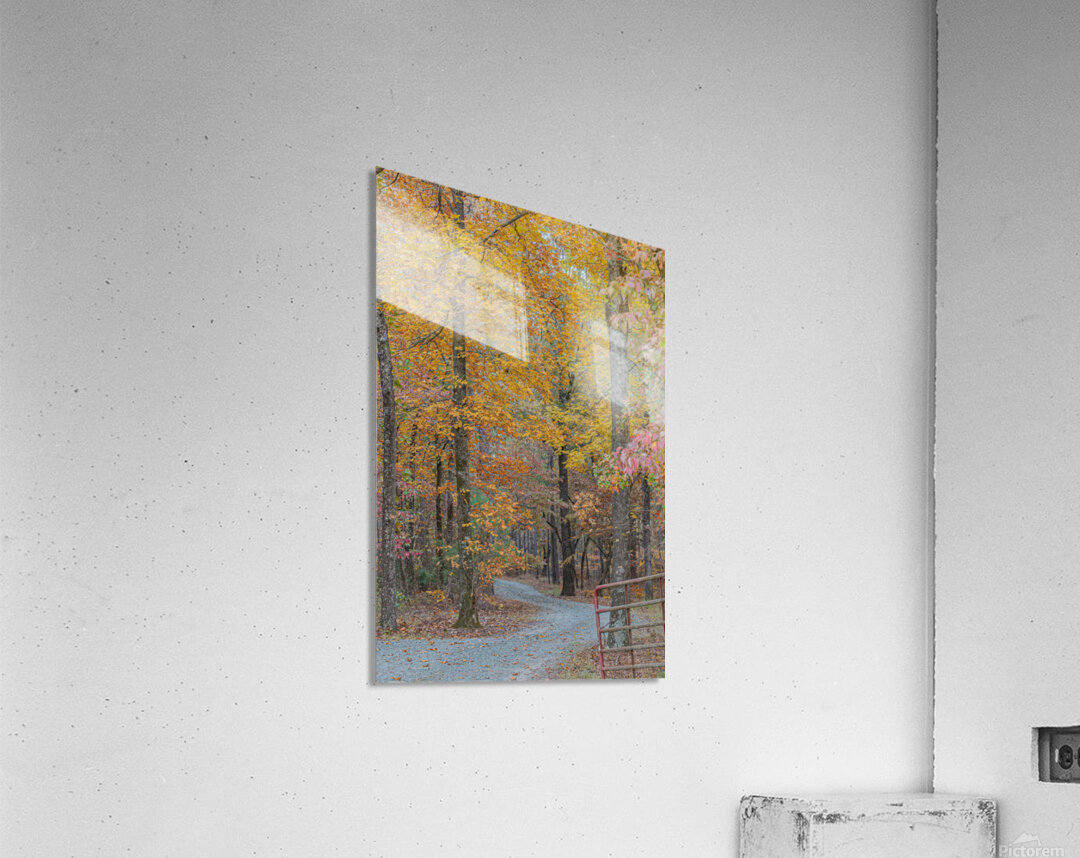 Autumn’s Winding Path Acrylic Print