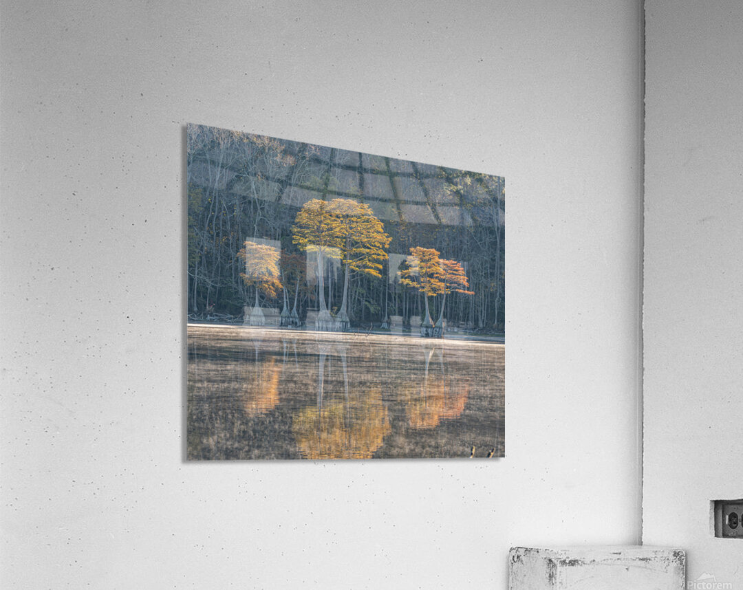 The Cypress Keepers Acrylic Print