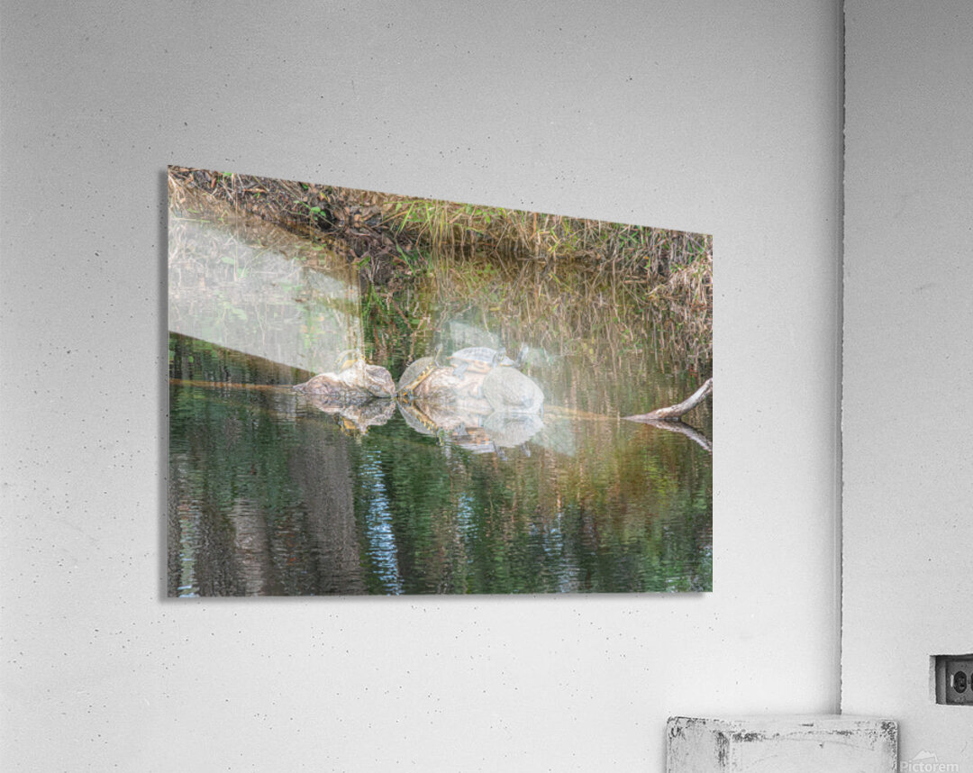 The Sunbathers’ Secret Isle Acrylic Print