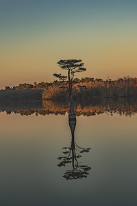 The Sentinel of Still Water