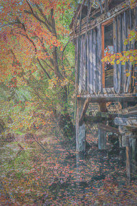 Millhouse Elegance Amidst Autumns Splendor