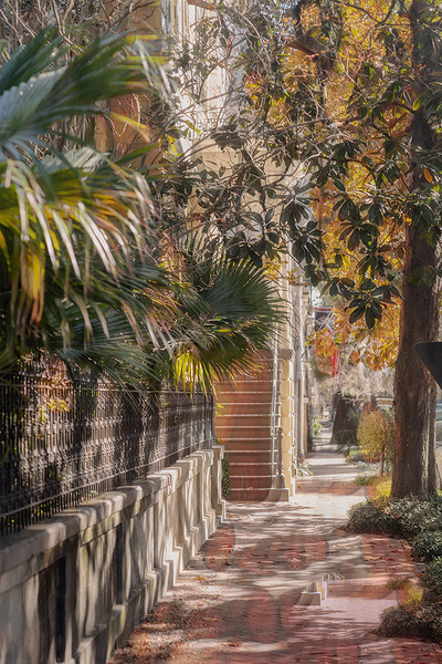 Autumn Pathway in Savannah by Richard Mathis