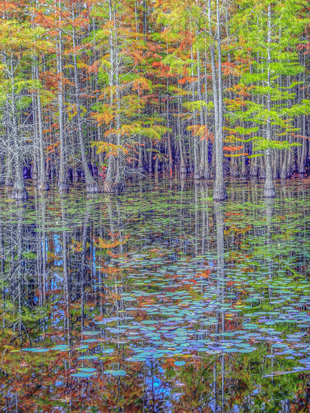 Autumn’s Mirror by Richard Mathis