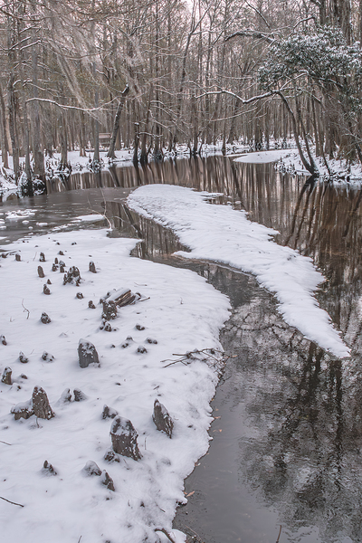 Winters Embrace by Richard Mathis
