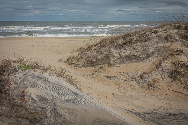 Dunes and Ocean Horizon by Richard Mathis