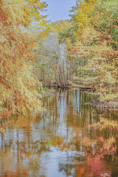 Golden Autumn Reflections by Richard Mathis