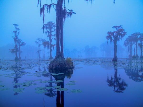 blue bayou by Richard Mathis