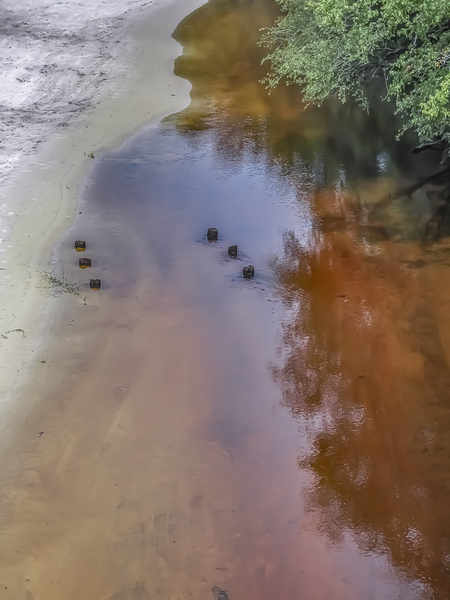 Tranquil Alapaha Meander by Richard Mathis