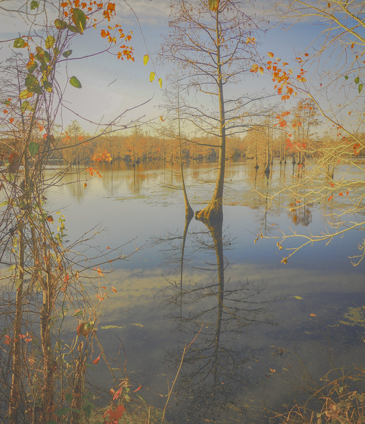 Autumns Reflection by Richard Mathis