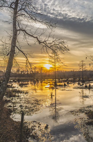 Millpond Winter Sunset by Richard Mathis