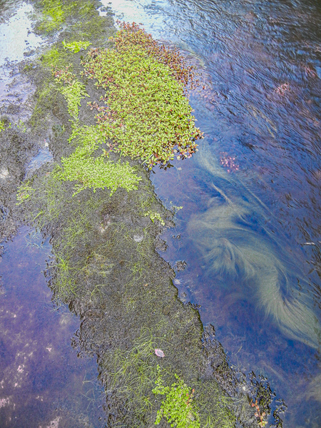 Natures Palette by Richard Mathis