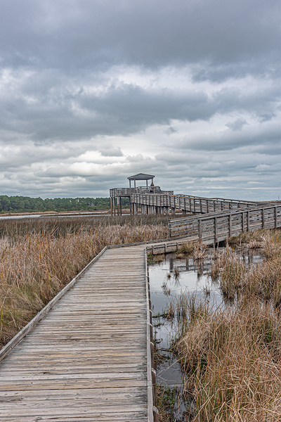 Boardwalk Over the Marsh by Richard Mathis