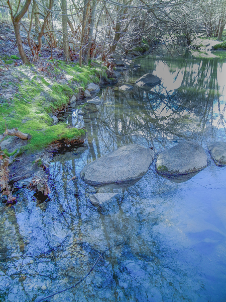 Zen Serenity: Stepping Stones Reflection by Richard Mathis