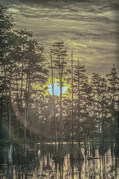 Dawns Embrace by Richard Mathis