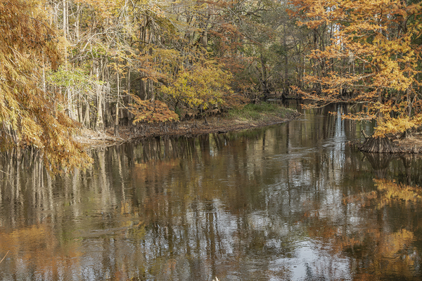 Where Autumn Whispers to the River by Richard Mathis