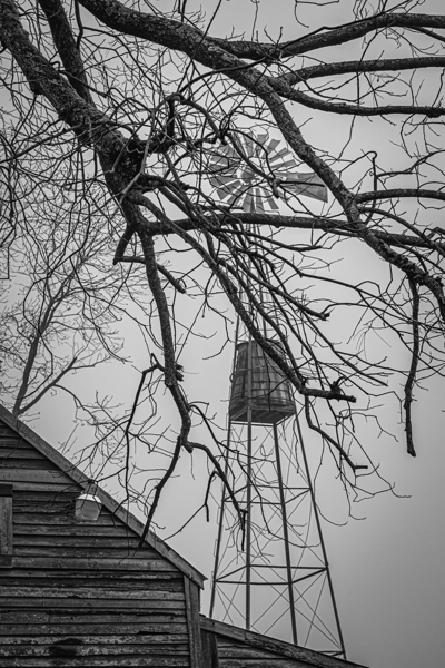 Windmill Through Winter Branches by Richard Mathis