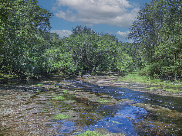 Limestone Symphony by the Alapaha by Richard Mathis
