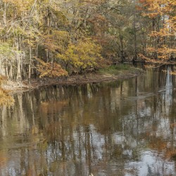 Where Autumn Whispers to the River