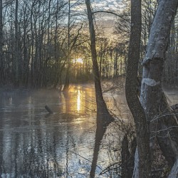 Silhouettes of Serenity: Lumbee River at Sunset
