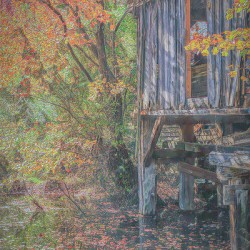 Millhouse Elegance Amidst Autumns Splendor