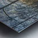 Silhouettes of Serenity: Lumbee River at Sunset Metal print