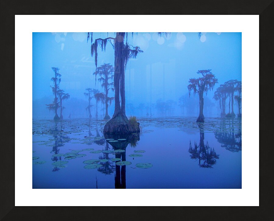 Blue Bayou Picture Frame print