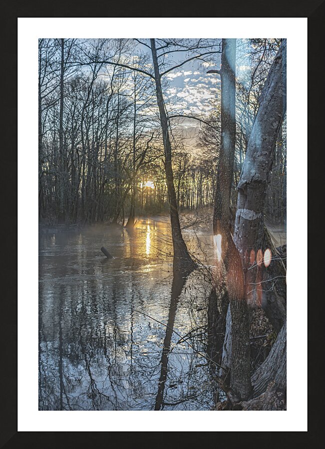 Silhouettes of Serenity: Lumbee River at Sunset Picture Frame print