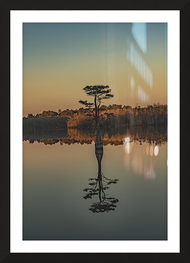 The Sentinel of Still Water Picture Frame print