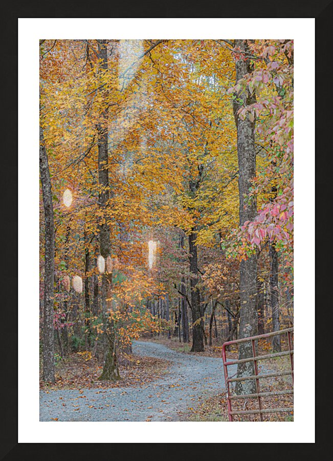 Autumn’s Winding Path Picture Frame print