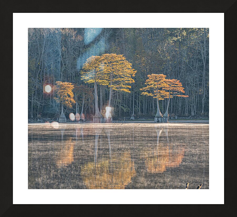 The Cypress Keepers Picture Frame print