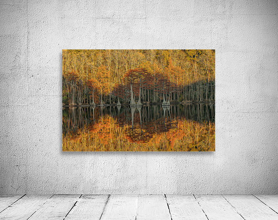 Cathedral of Embered Trees Wall Preview