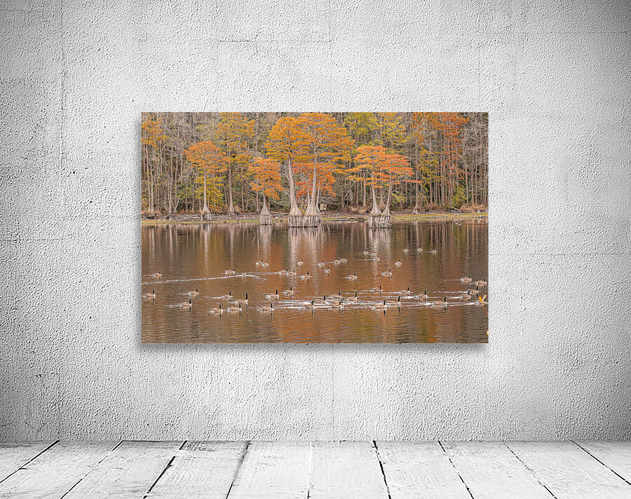  Autumn’s Gathering at the Waterline Wall Preview