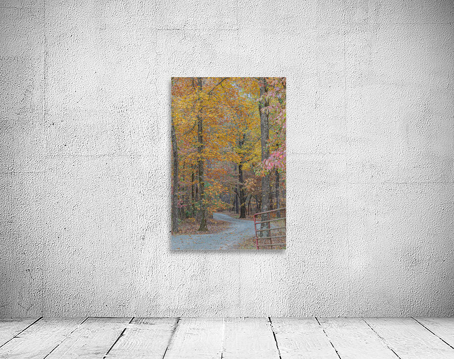 Autumn’s Winding Path Wall Preview