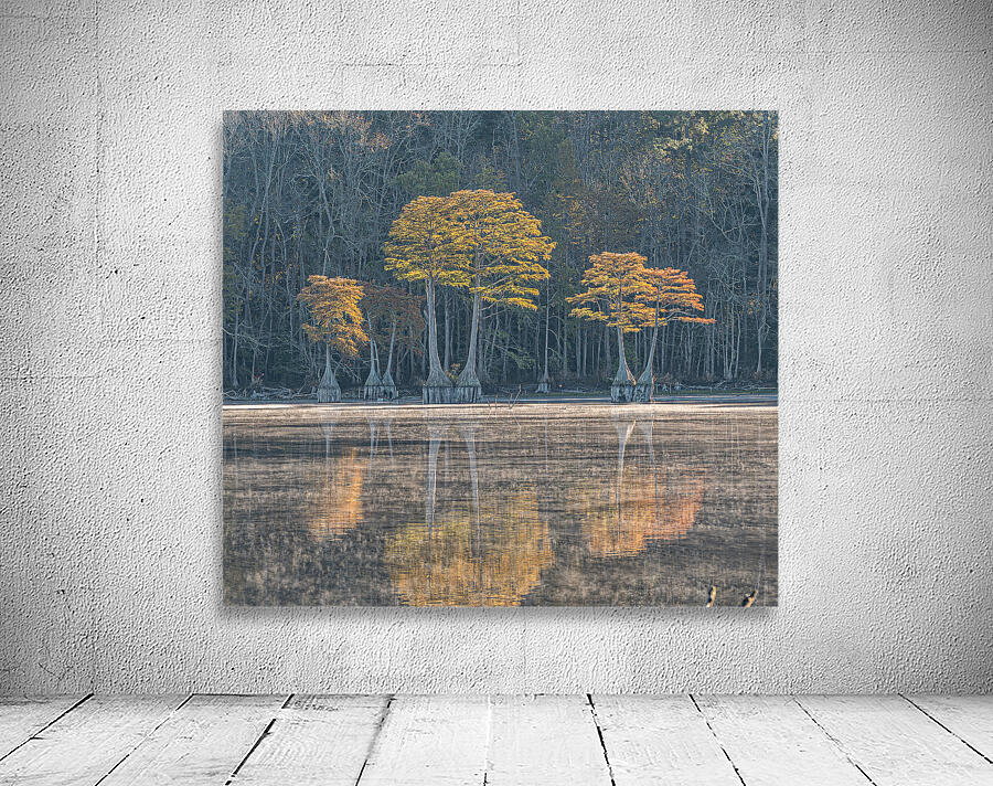 The Cypress Keepers Wall Preview