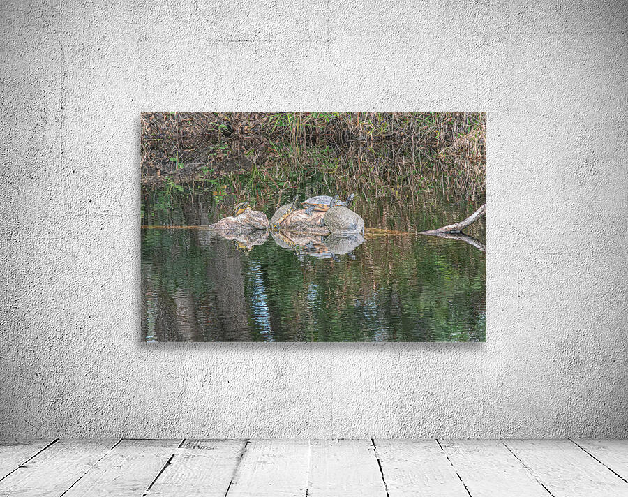 The Sunbathers’ Secret Isle Wall Preview