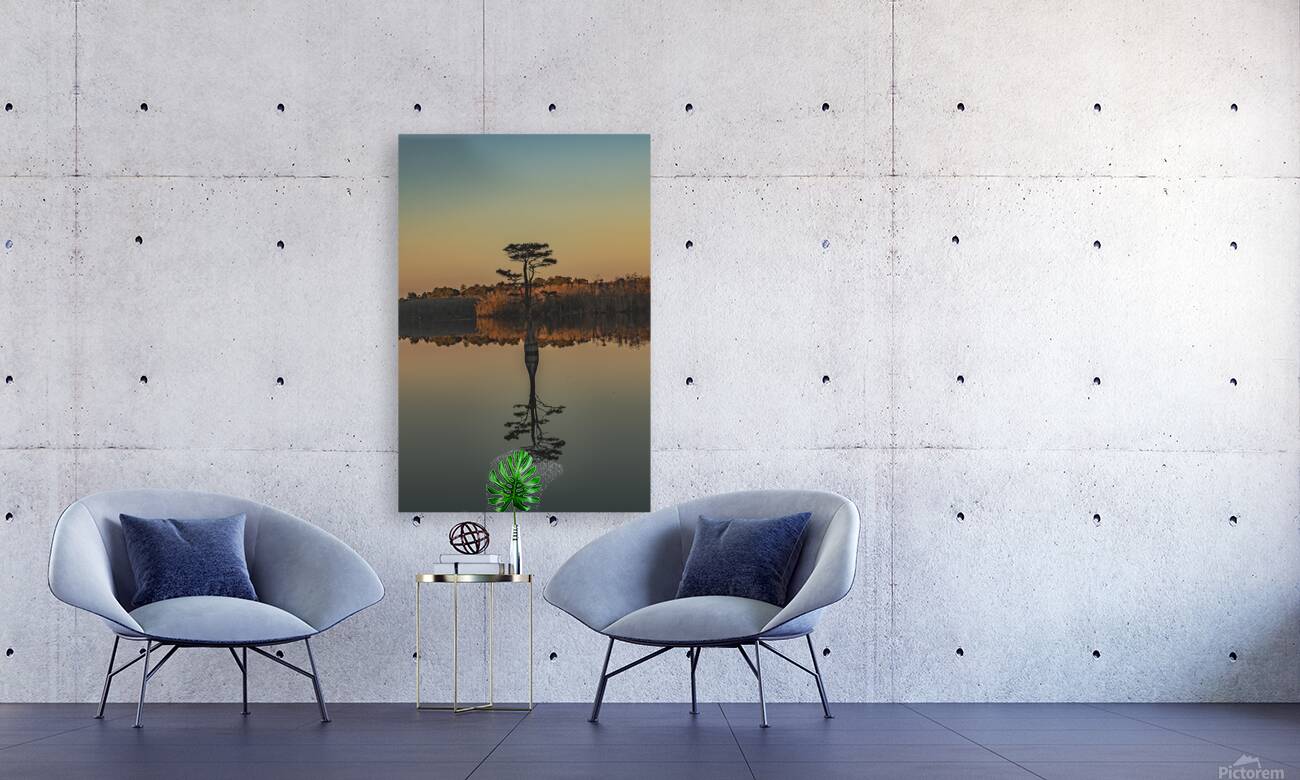 The Sentinel of Still Water Reproduction