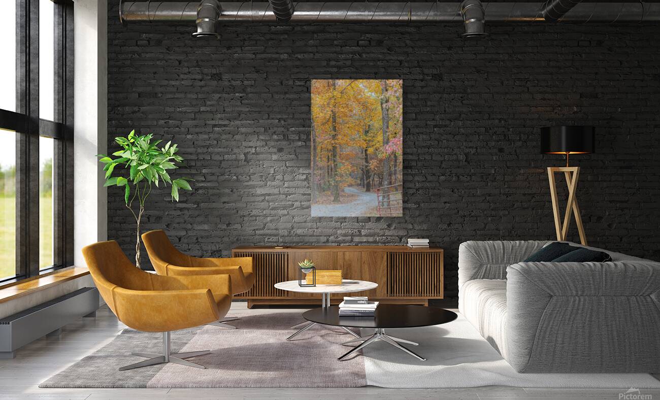 Autumn’s Winding Path Reproduction