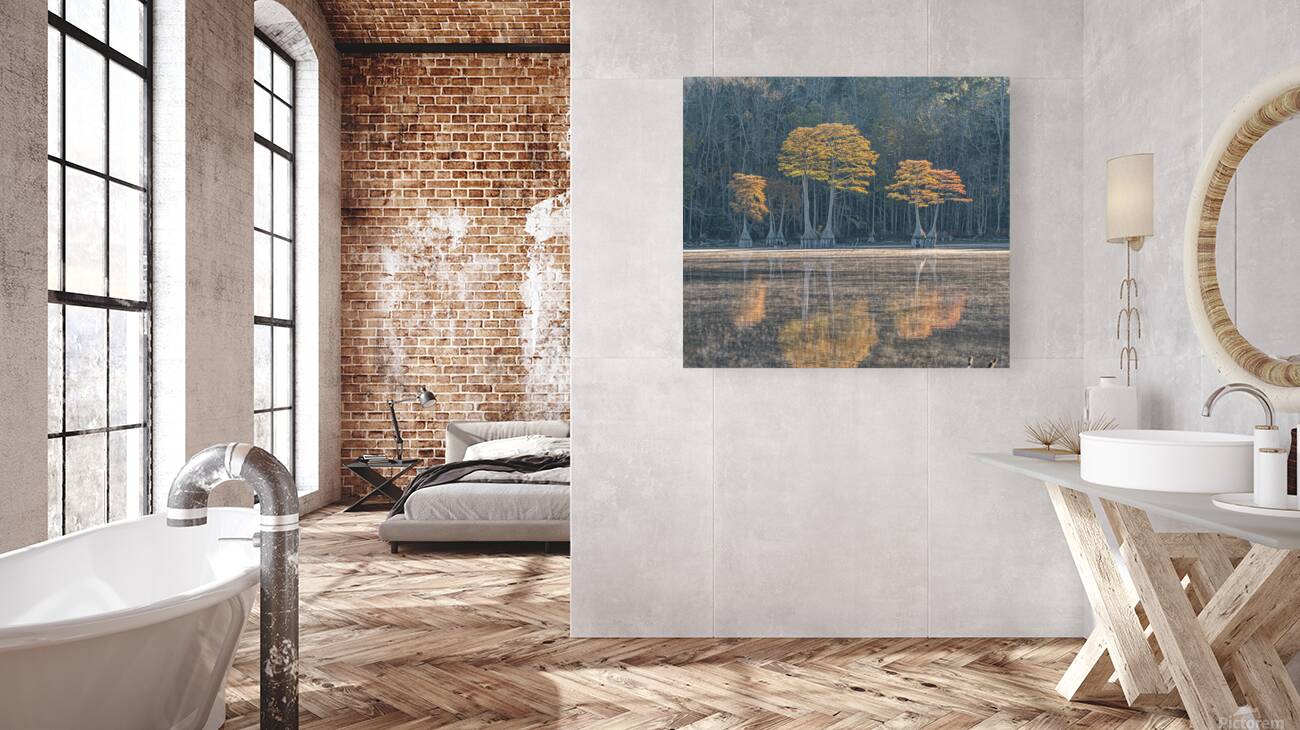 The Cypress Keepers Reproduction